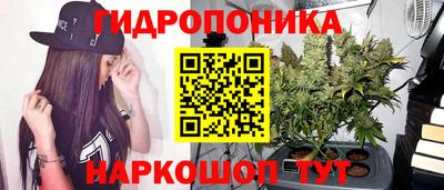стаф Мариинск